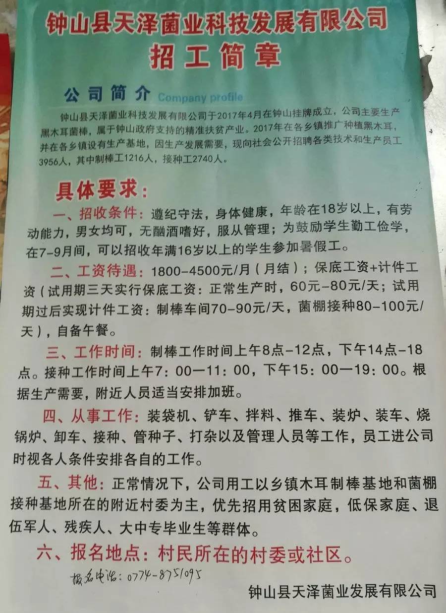 若达村最新招聘信息全面解析