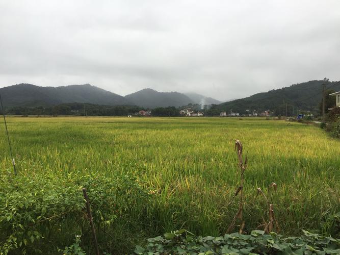 田源乡天气预报更新通知