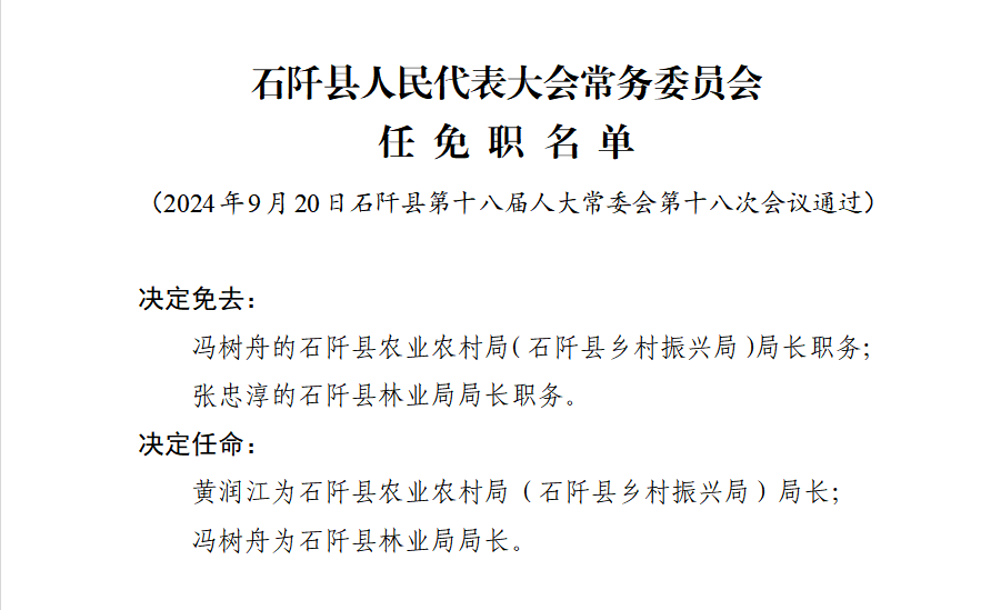 石河村人事任命完成，引领村庄迈向全新发展阶段