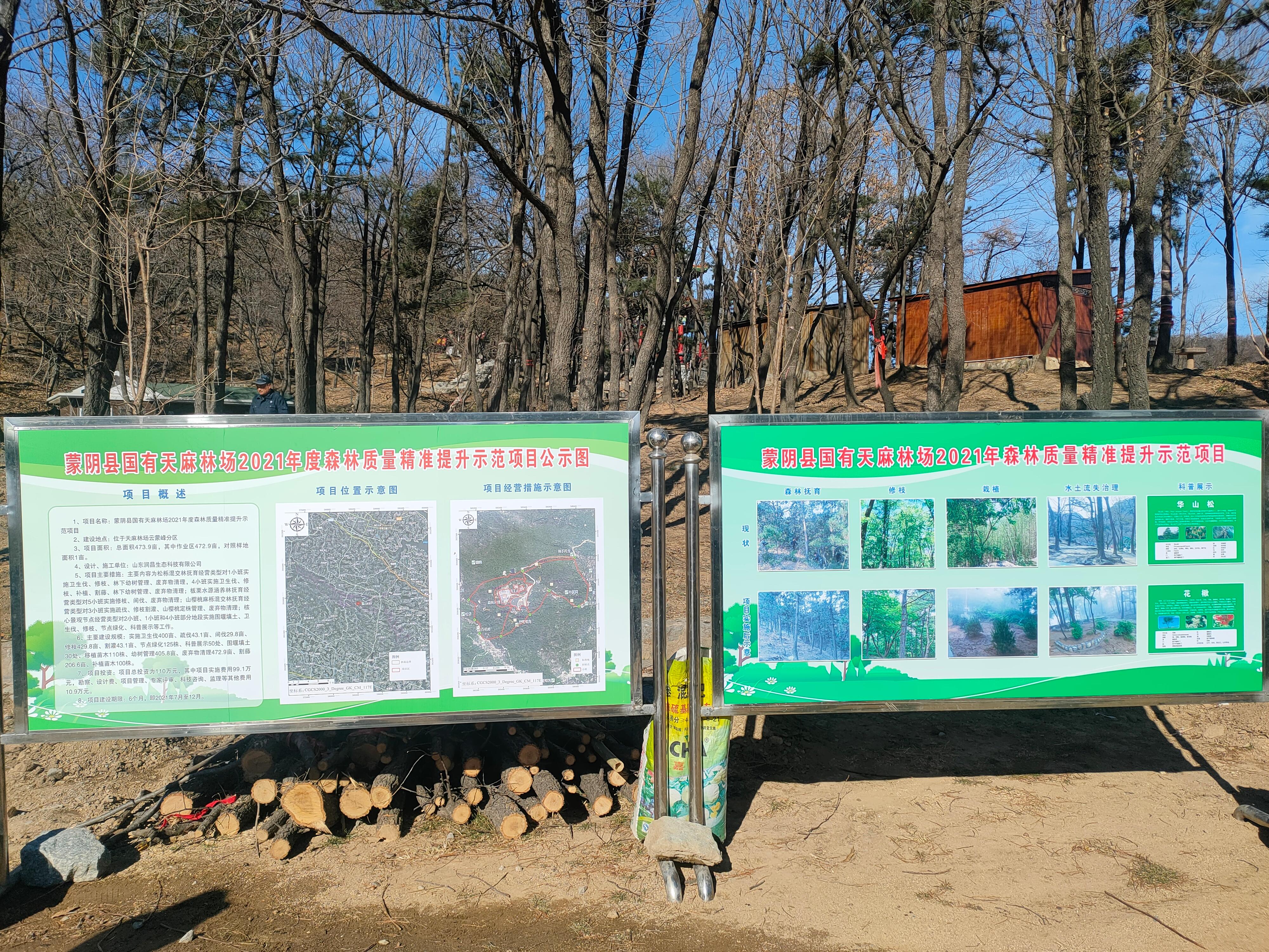 九岘林场绿色项目，探索与实践可持续发展之路