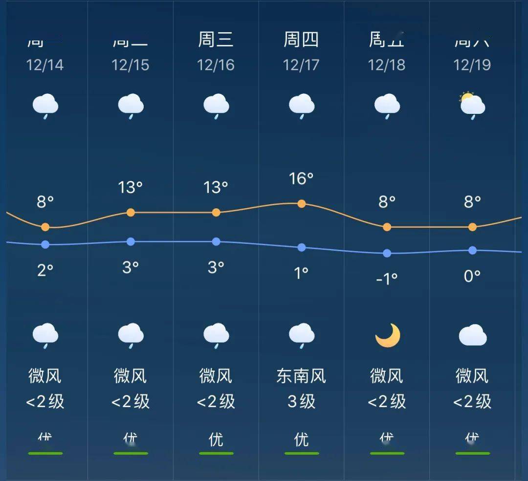 2024年12月1日 第23页