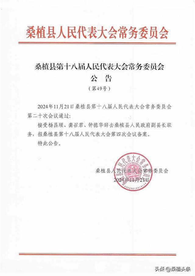 八路镇最新人事任命，新一轮地方发展力量的启航