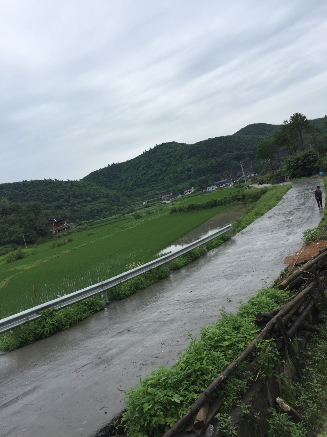 长沟门村委会天气预报更新通知