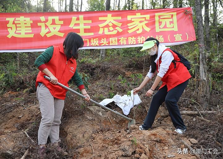 坂头防护林场最新发展规划概览