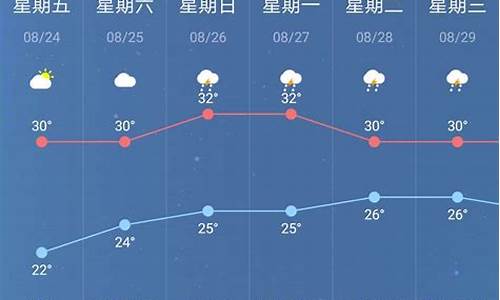 2024年12月2日 第5页