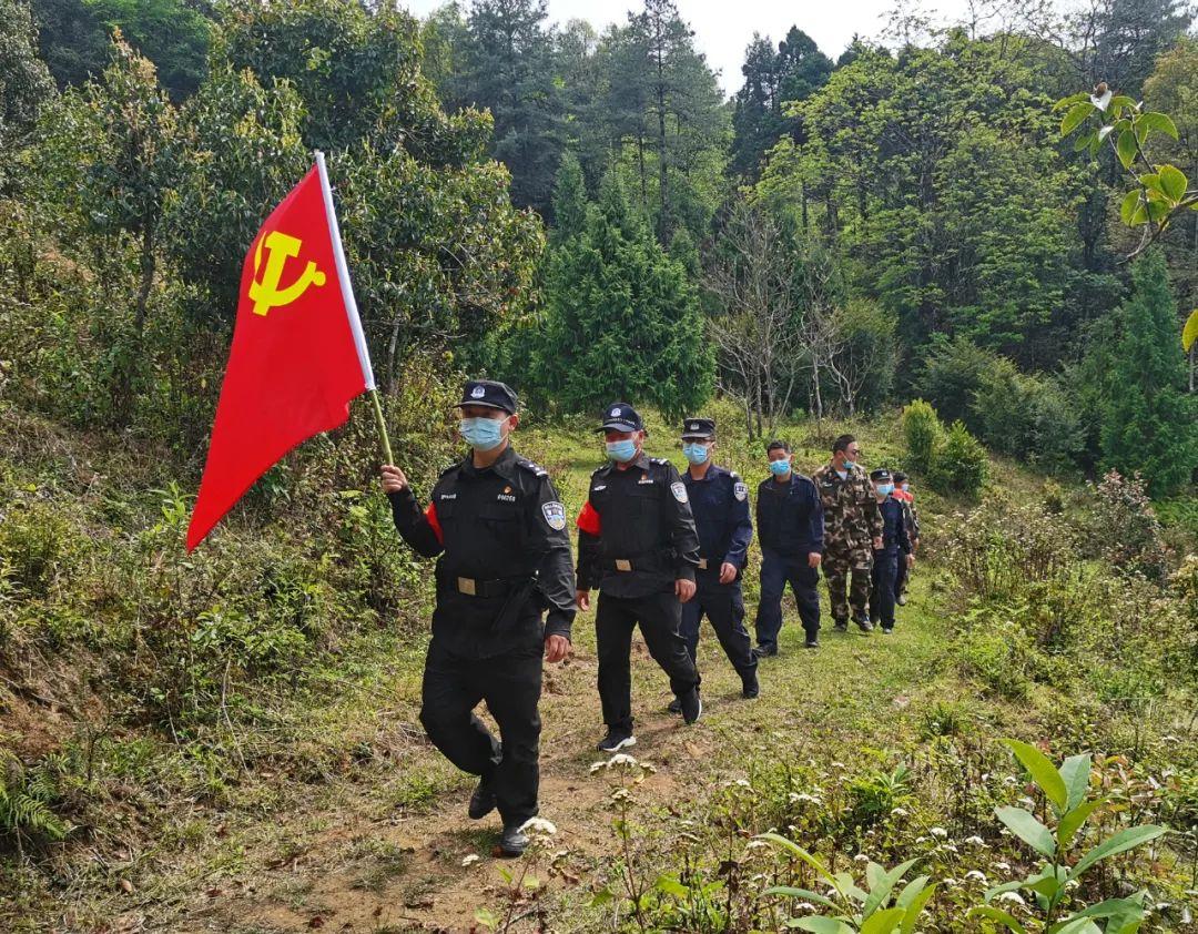 爱林林场绿色项目，探索与实践发展之路