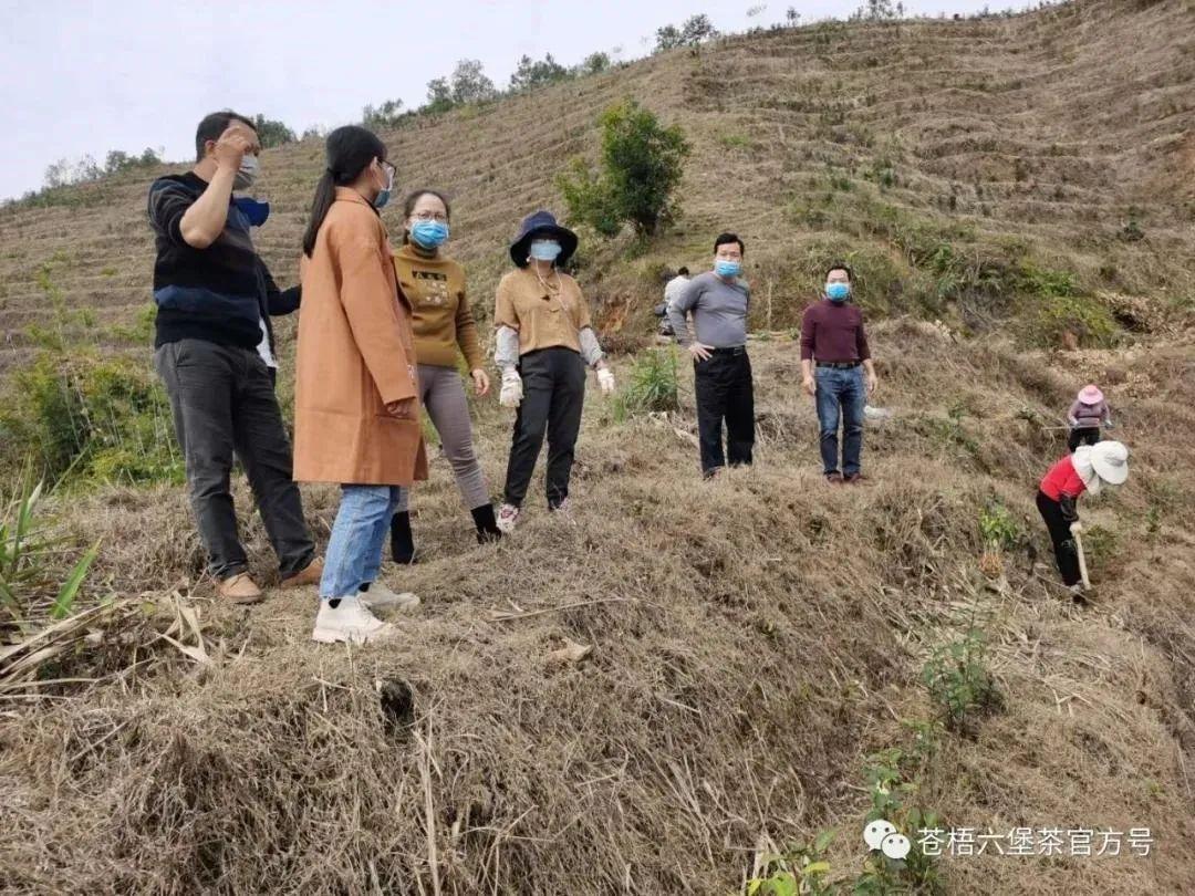 苍梧县防疫检疫站最新项目进展与地区防疫工作影响分析