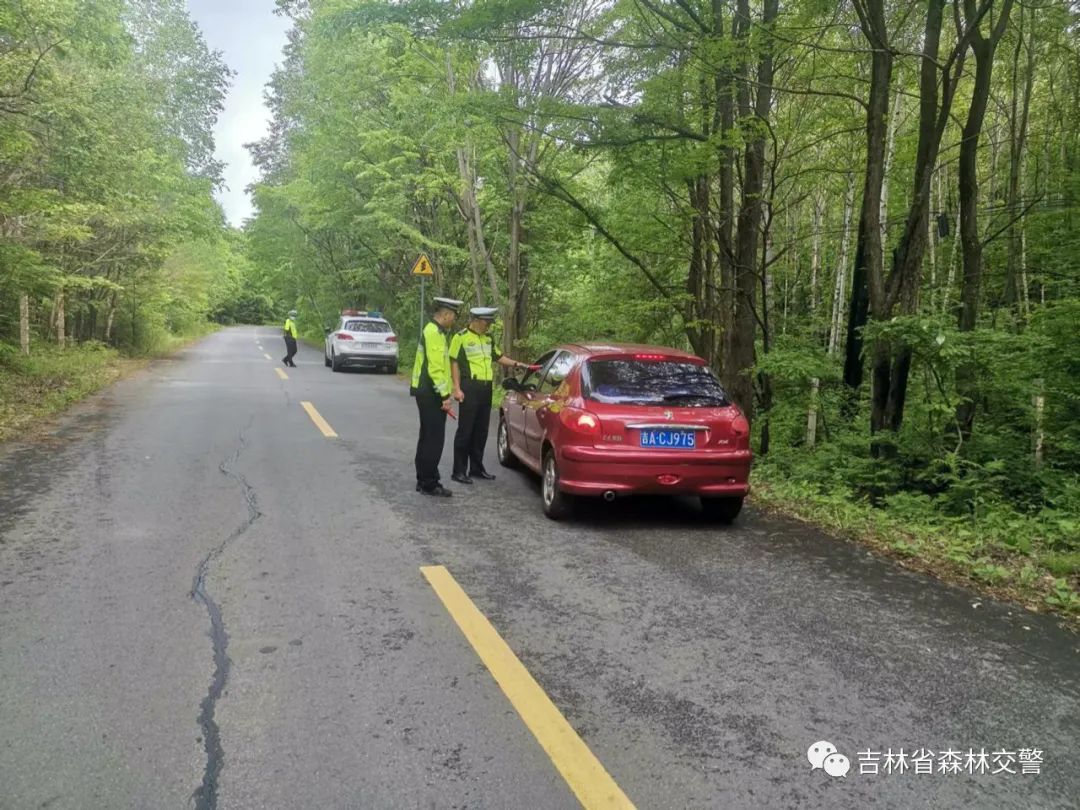 太平林场道路改造升级，区域交通效率大幅提升