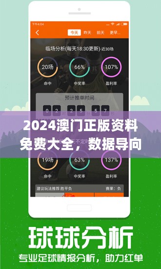 2024澳门精准正版,经典解释落实_限量款64.644