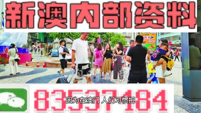 2024新澳精准资料免费提供,澳门内部,快速执行方案解答_RemixOS13.790