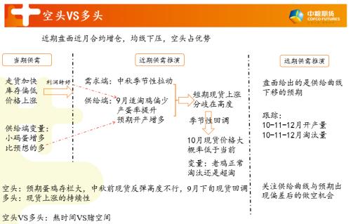 澳门天天彩期期精准单双波色,实践研究解析说明_X版74.504