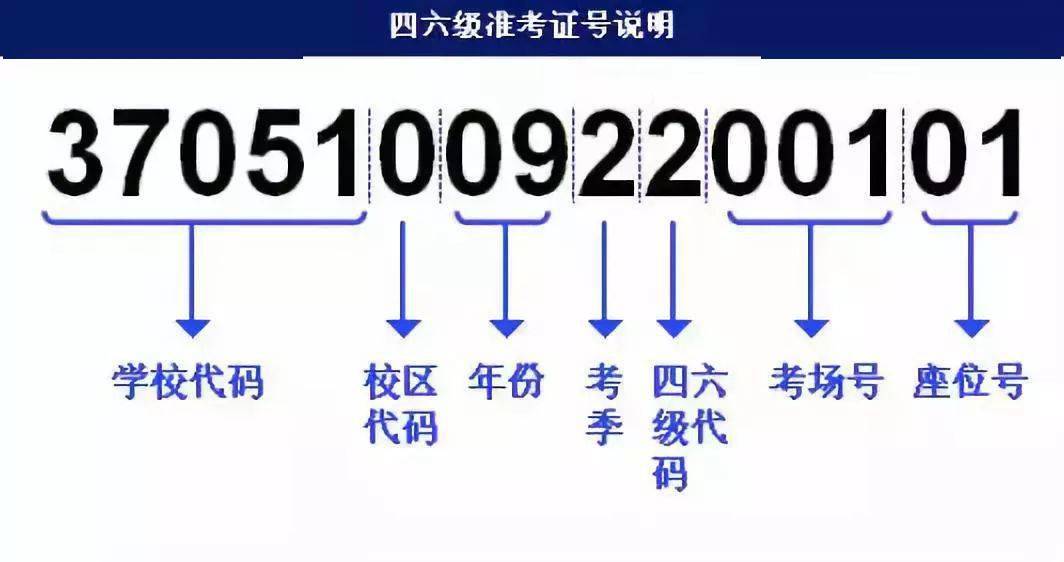 澳门今晚必开一肖1,快速解答策略实施_尊享款96.884