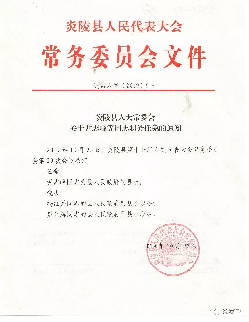 武陵源区殡葬事业单位人事任命更新，新领导团队引领行业创新前行