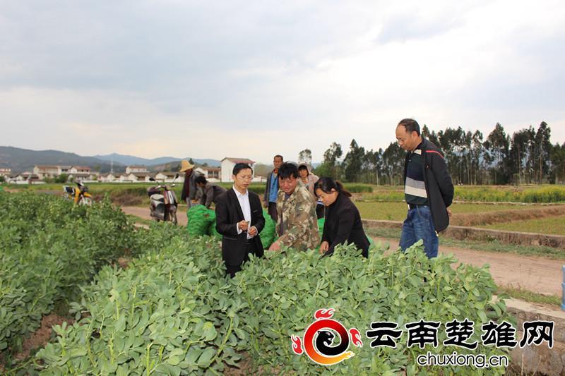 牟定县住房和城乡建设局最新动态报道