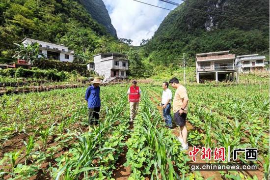 河口瑶族自治县农业农村局最新动态报道