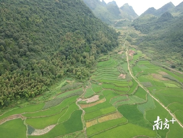 乳源瑶族自治县住房和城乡建设局最新发展规划概览