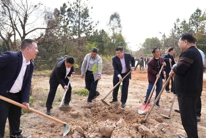 骆湖镇新项目，地区发展的强大引擎引领前进之路