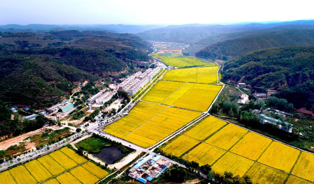 山西省长治市郊区黄碾镇最新项目进展及其区域发展影响探究