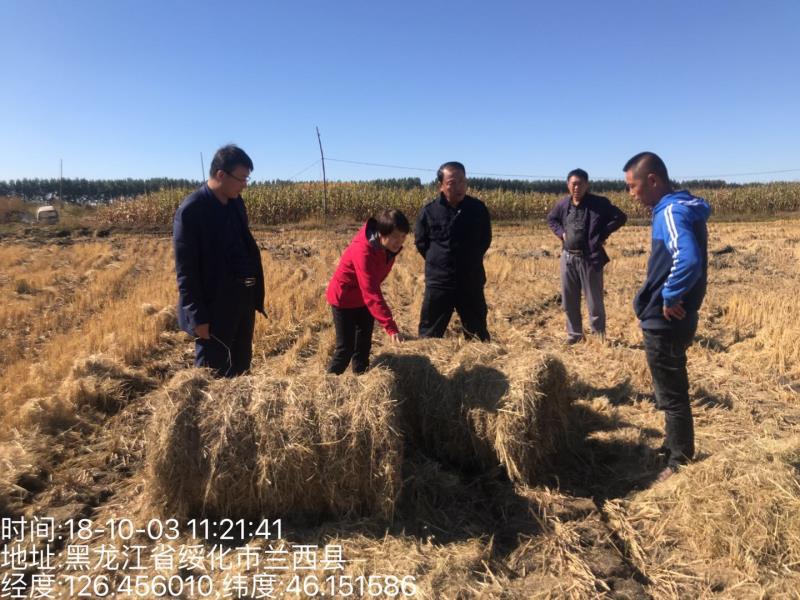 兰河乡未来蓝图，最新发展规划引领乡村重塑